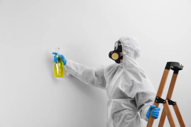 Professional Mold Inspection in Bristol, CT